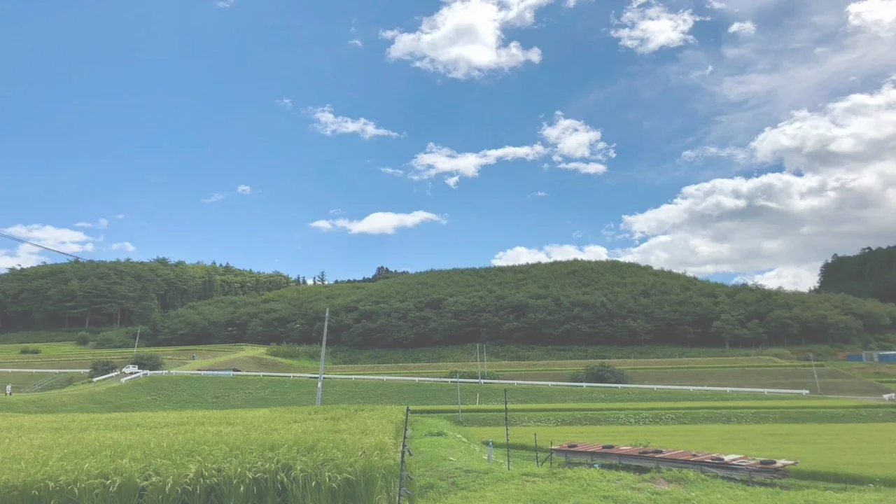 ヒコロイチの風景