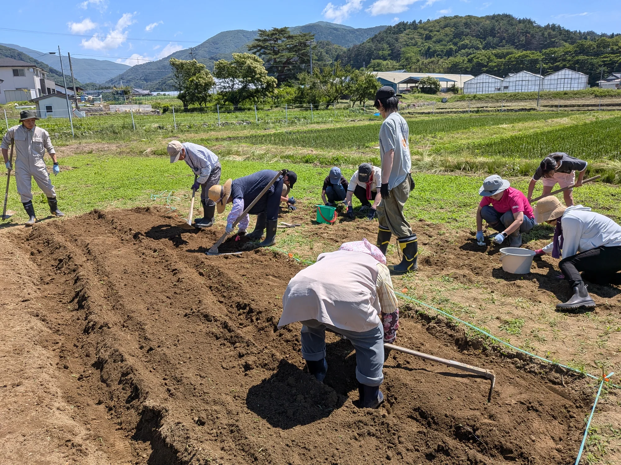 ヒコロイチみんなの畑の活動写真